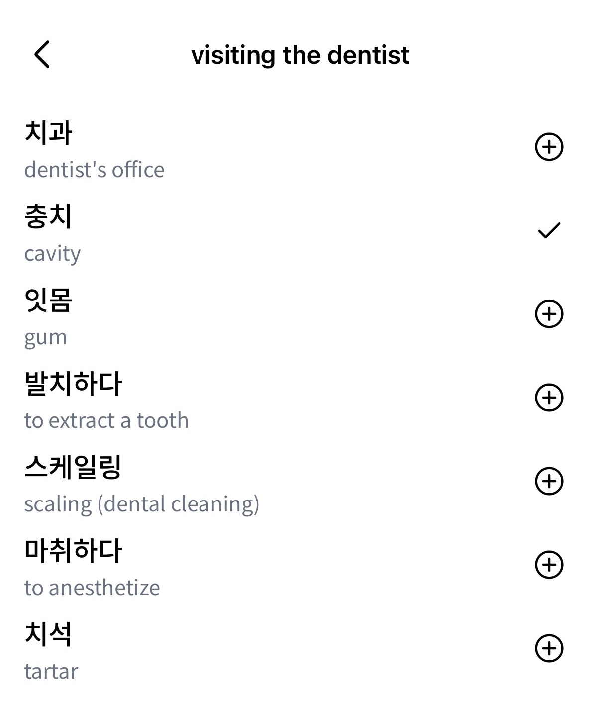 Vocabulary Topics - Dentist